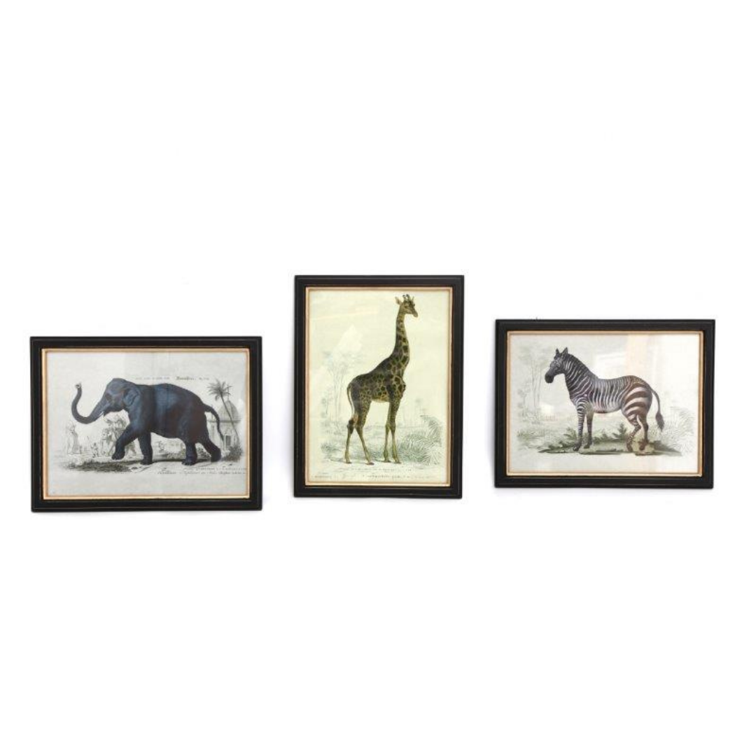 Temerity Jones Safari Vintage Framed Print : Elephant, Giraffe or Zebra