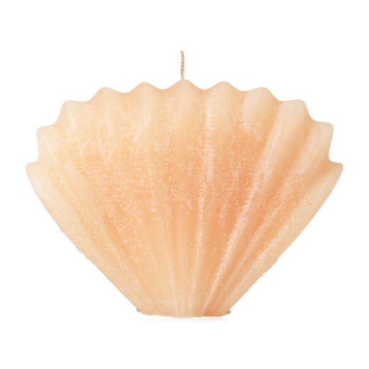 Candle Seashell Apricot