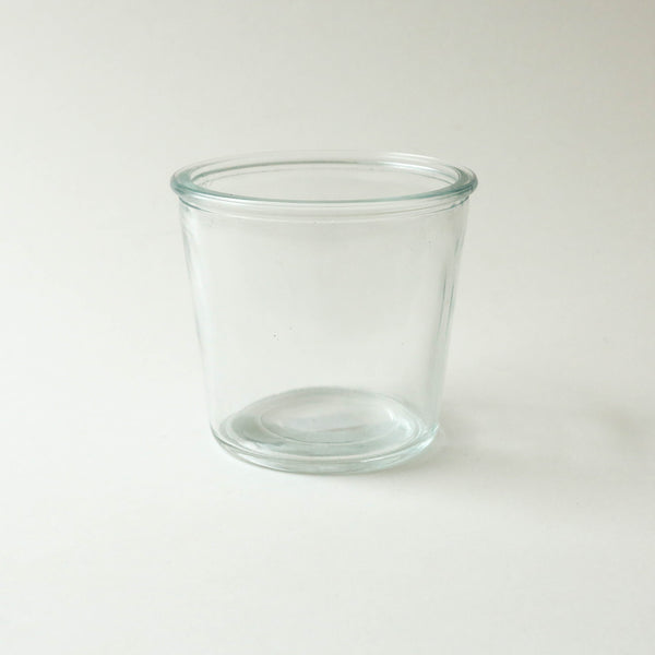 Glass Plant Pot