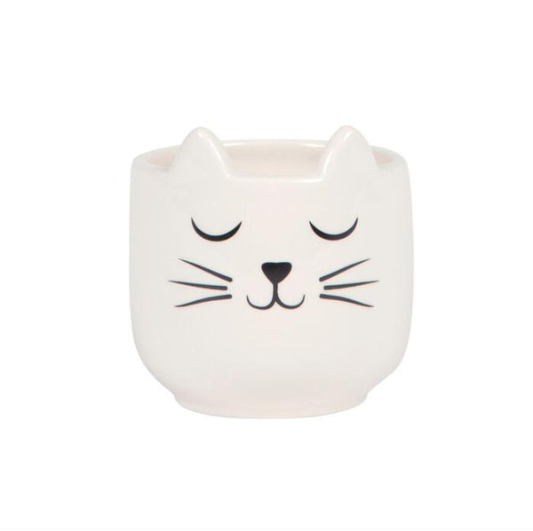 Mini Cats Whiskers Planter