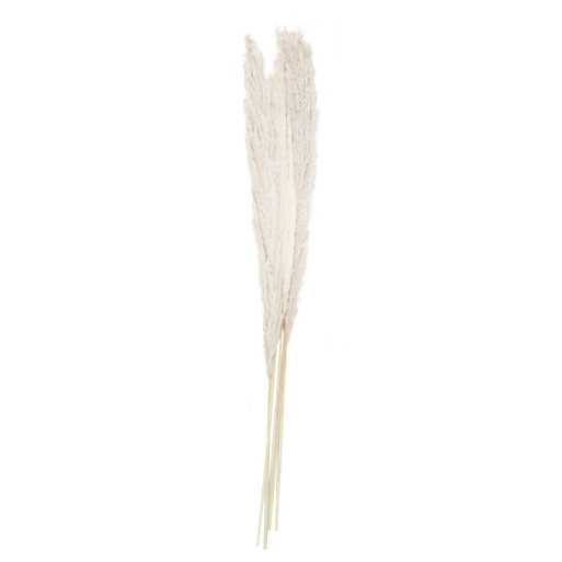 Ginger Ray Bleached Pampas Grass Decorations