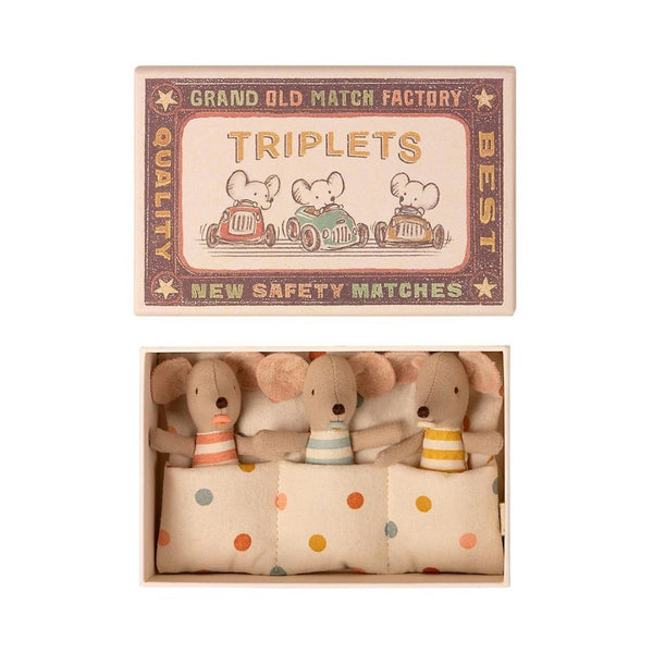 Baby Mice - Triplets In A Matchbox