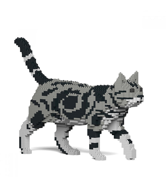 Jekca American Shorthair Cat Art 02s-m01
