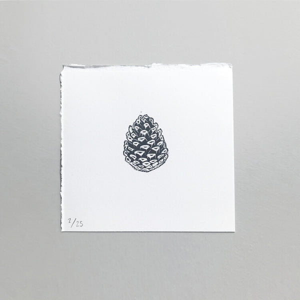 Folded Forest Pine Cone Print