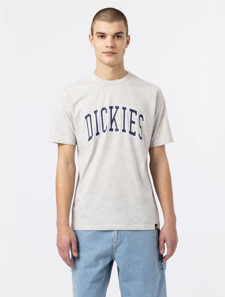 Dickies Aitkin T-Shirt - Grey