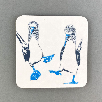 Penguin Ink Blue Footed Boobies Coaster