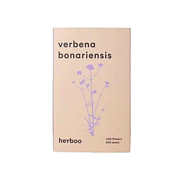 Herboo Verbena Seeds Bonariensis