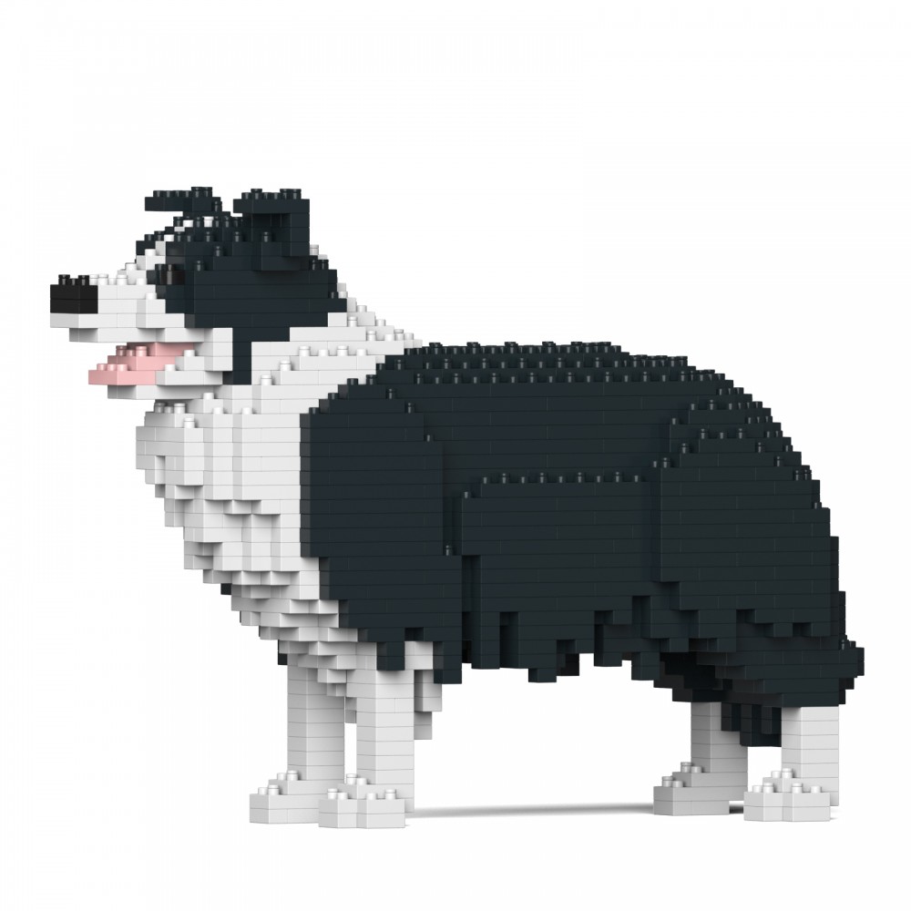 Jekca Border Collie 01s-m01