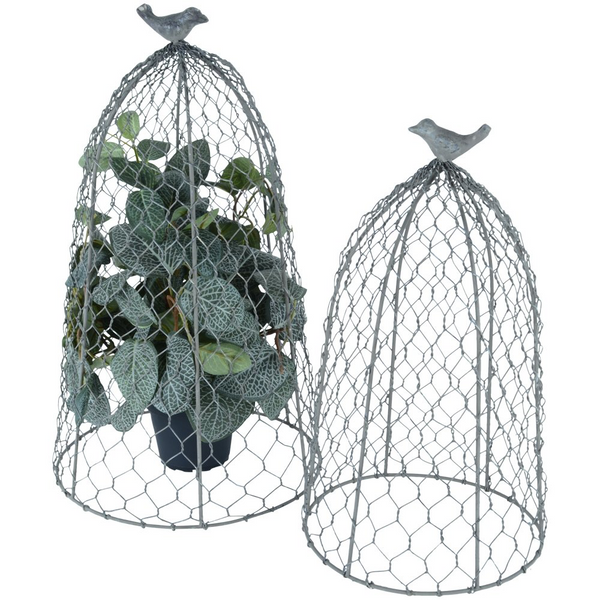 Distinctly Living Large Wire Garden Cloche With Bird