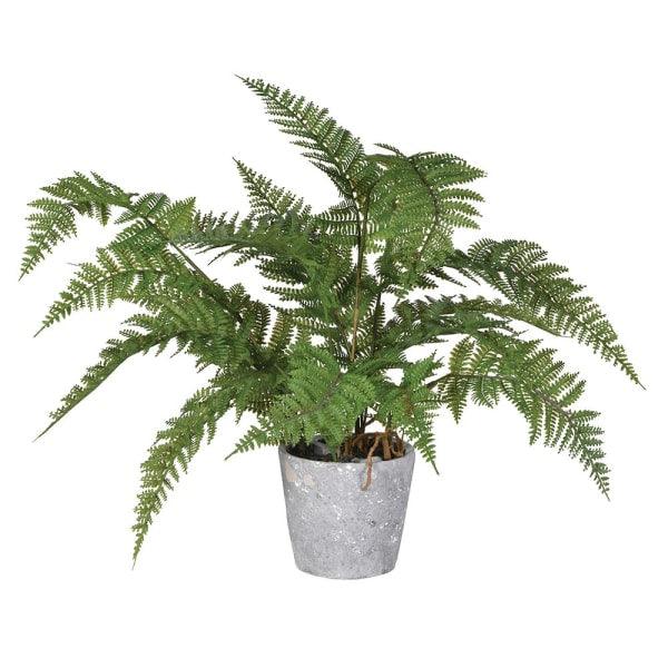 Distinctly Living Faux Potted Fern