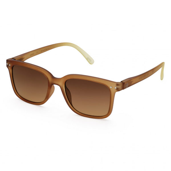 Sunglasses #L Arizona Brown