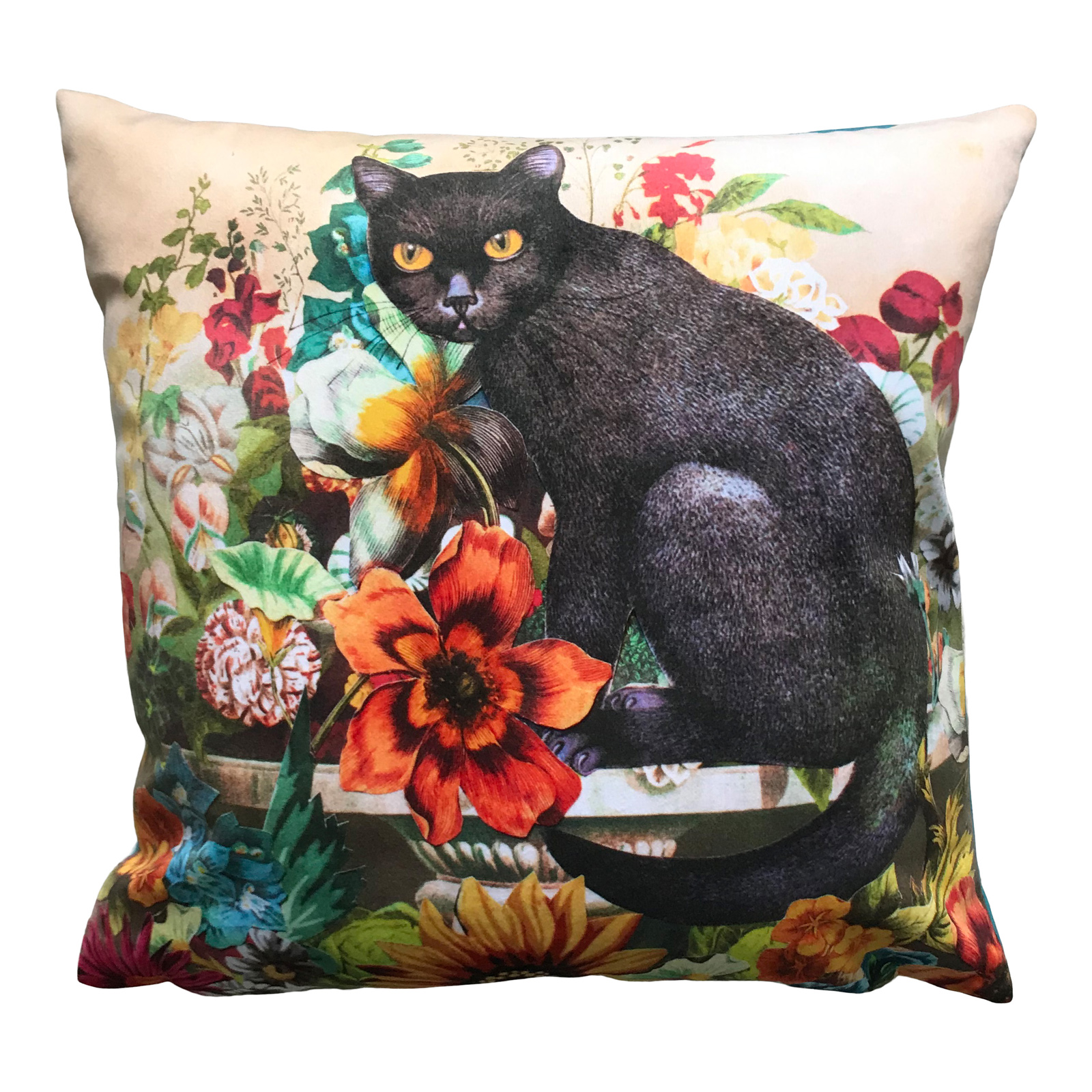 Diana Wilson Arcana Black Cat Velvet Cushion