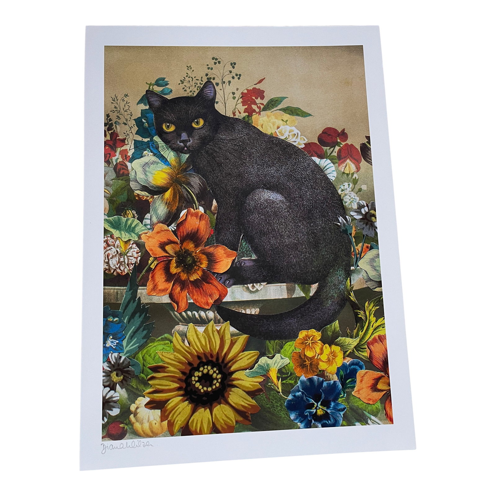 Black Cat A4 Art Print
