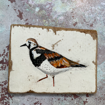 Best Foot Forward - Turnstone Painting 16cm x 13cm