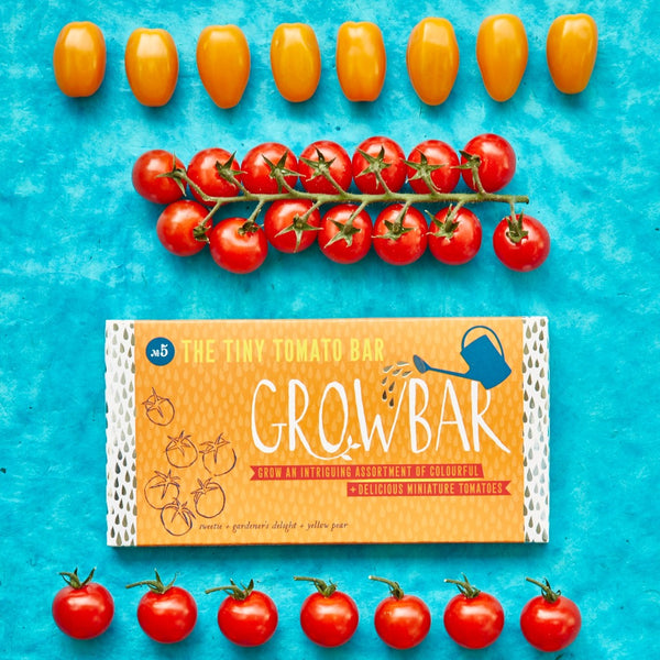 The Grow Bar Tiny Tomato Grow Bar