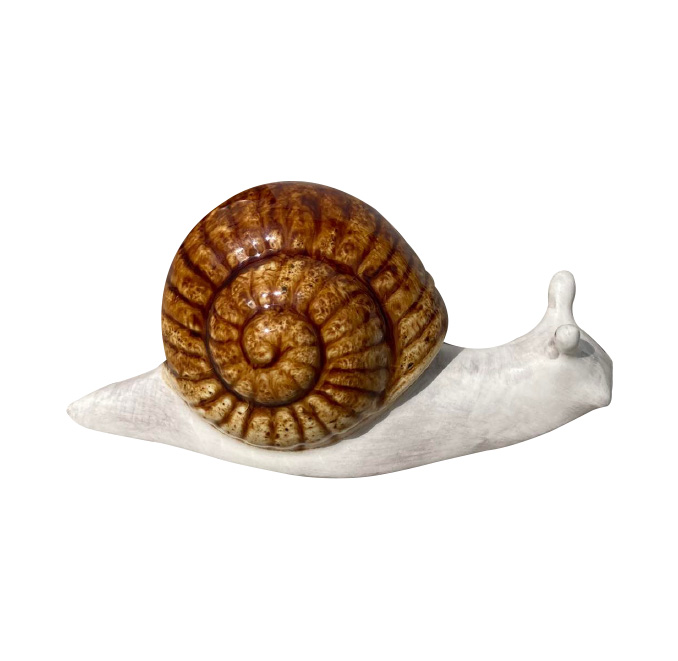 Pedro Braz 18x9x9 cm Ceramic Snail