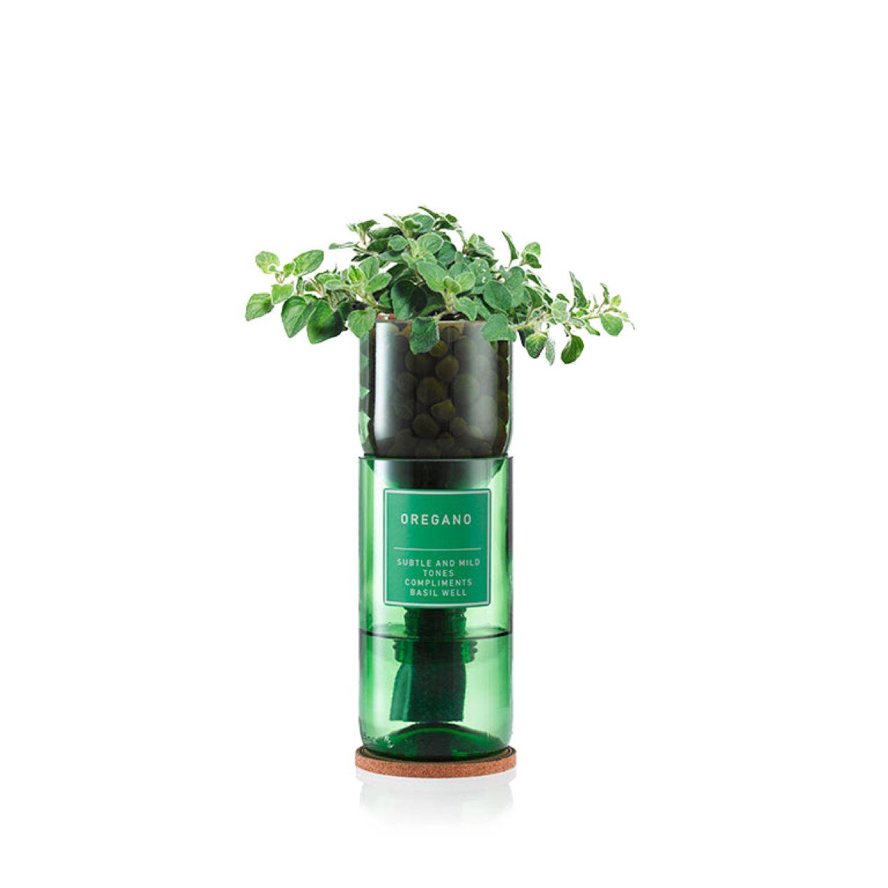 Hydro Herb Thyme Hydro Herb Kit