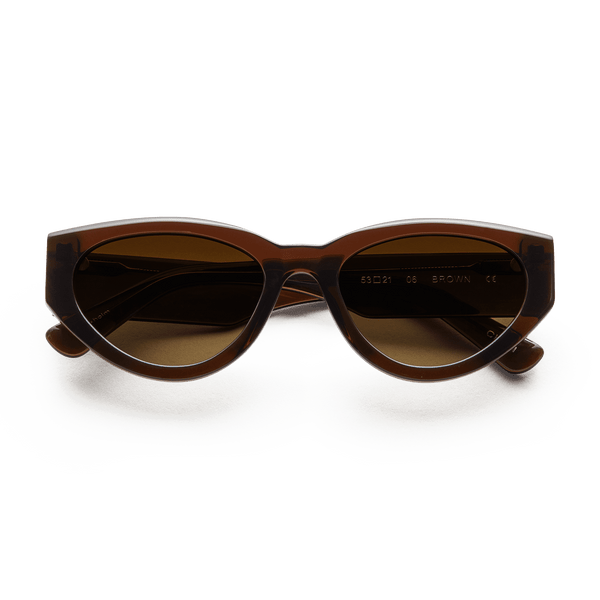 06 Brown Sunglasses