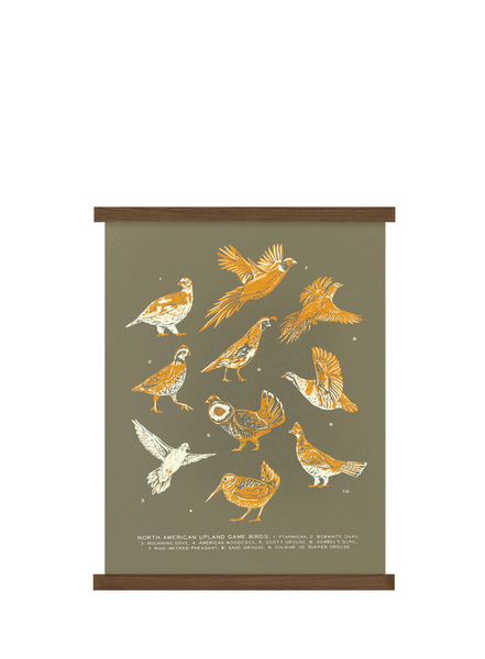 The Wild Wander Upland Game Birds Guide Print