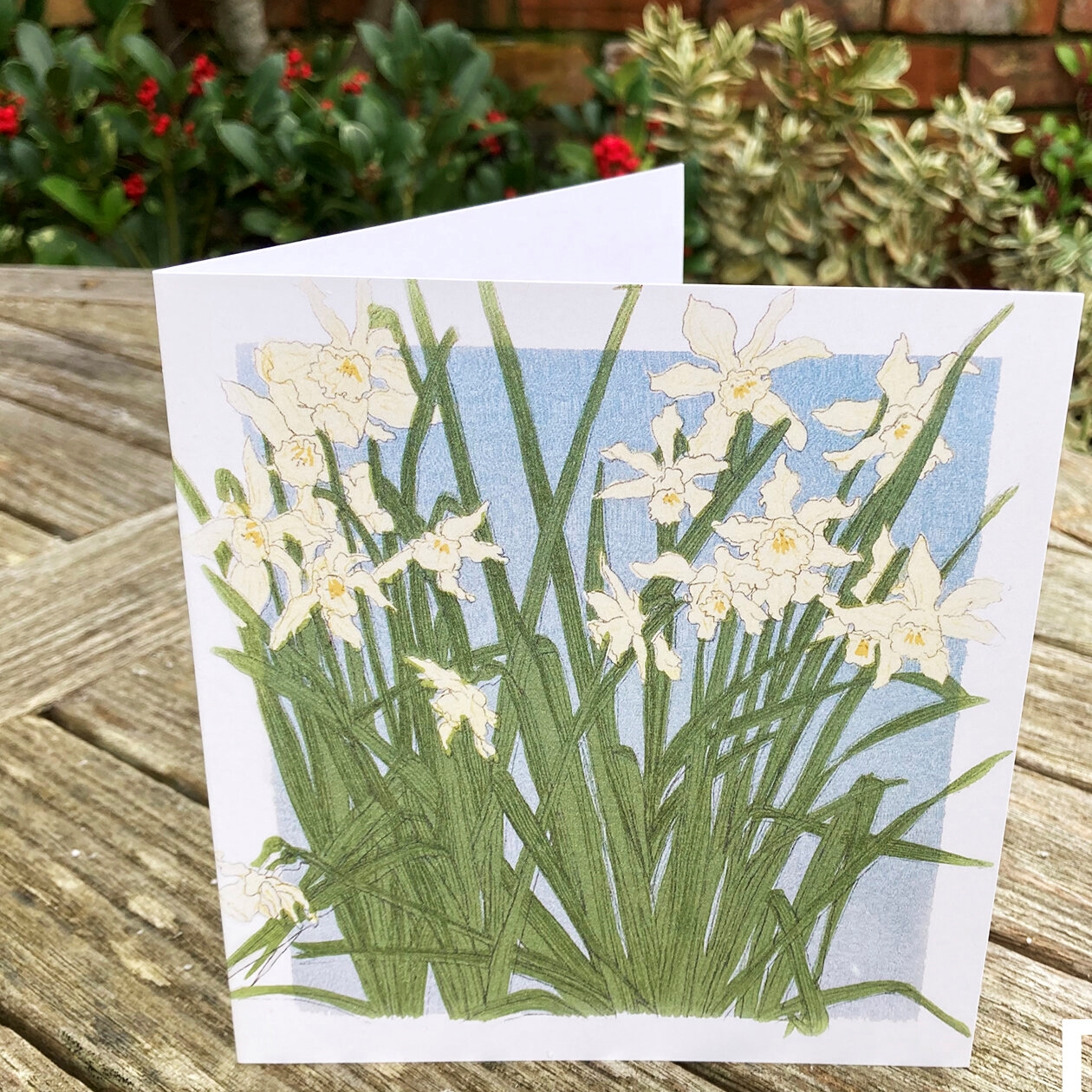 Anna Harley Daffodils Card