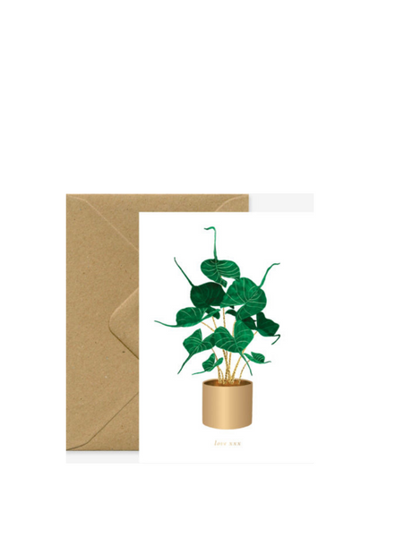All The Ways To Say Alocasia Stingray Plant Card