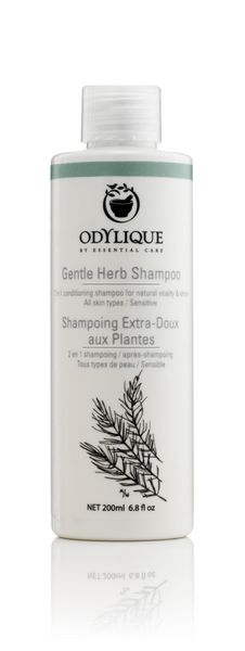 Organic Shampoo