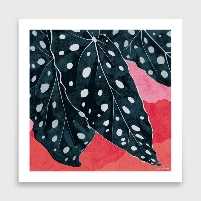 Ruth Thorp Studio Polka Dot Begonia Art Print