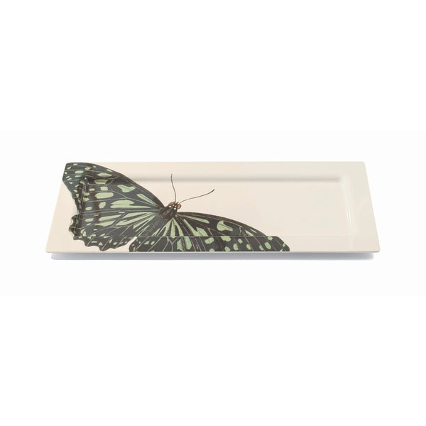 Butterfly Metamorphosis Oversized Tray