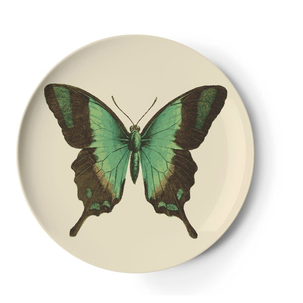 Thomas Paul Butterfly Metamorphosis Coaster Set