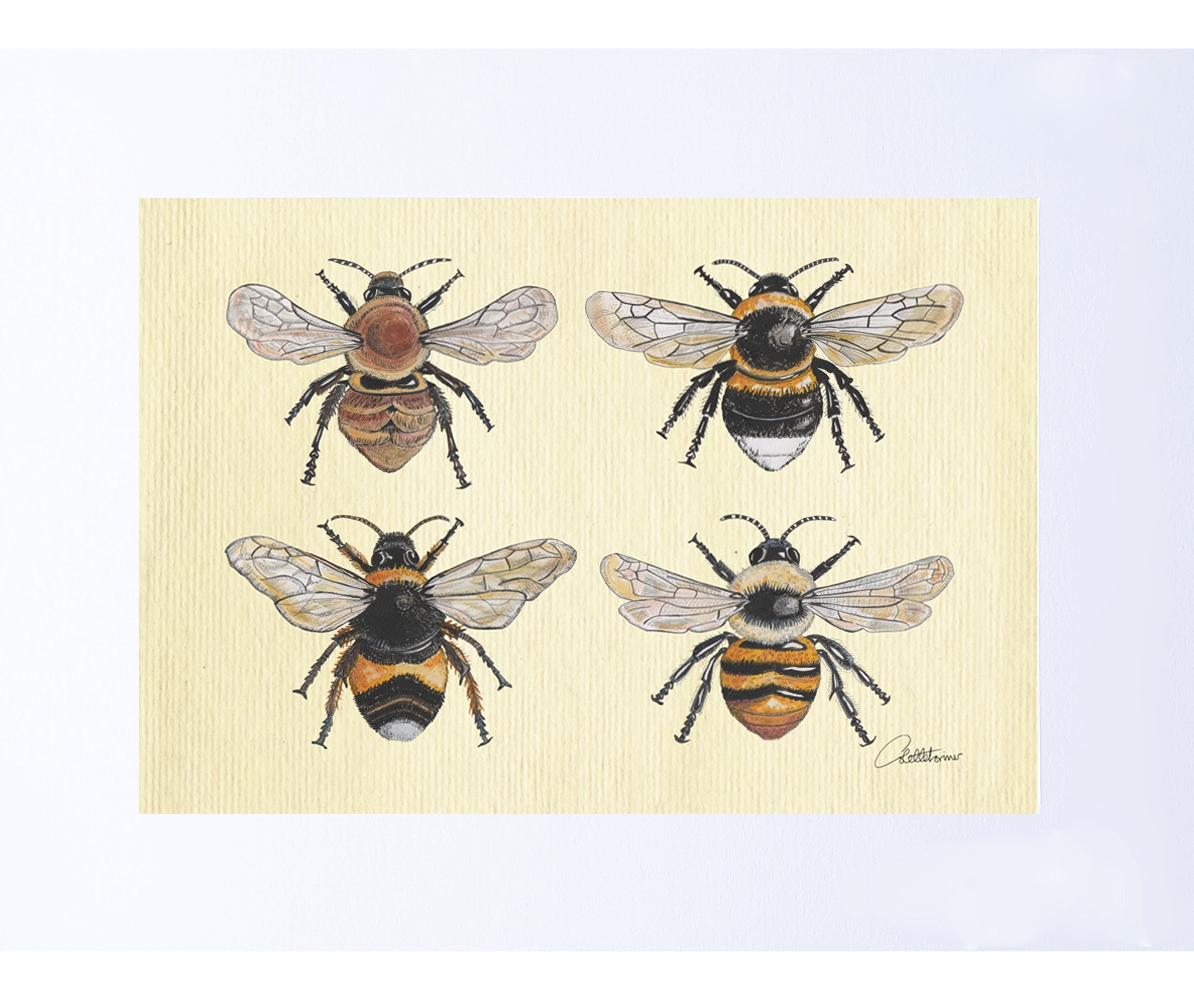 Canvasbutterfly Four Bees on Canvas Art Print