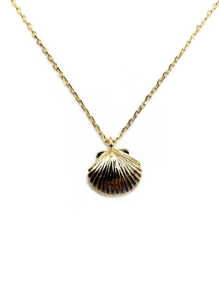 sixton Shell Pendant Necklace From London