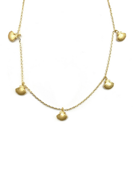 sixton Shell Charm Necklace From London