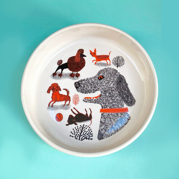 Dog Bowl