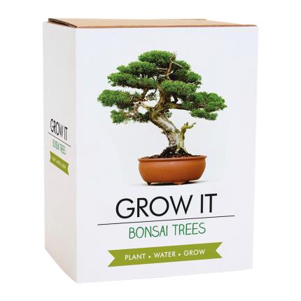 Bonsai Tree - Grow It