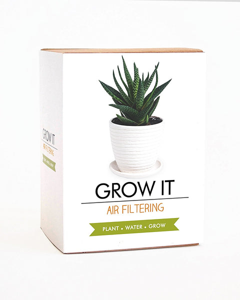 Grow It Grow It Air Filtering Plant