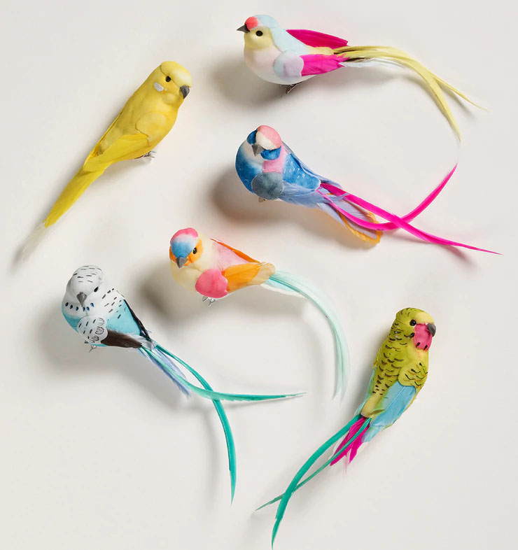 Petra Boase Assorted Feather Bird Clips Gift Box  - Set of Six
