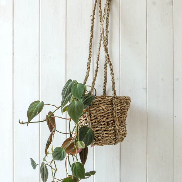 Sangdi Seagrass Hanging Planter - Small