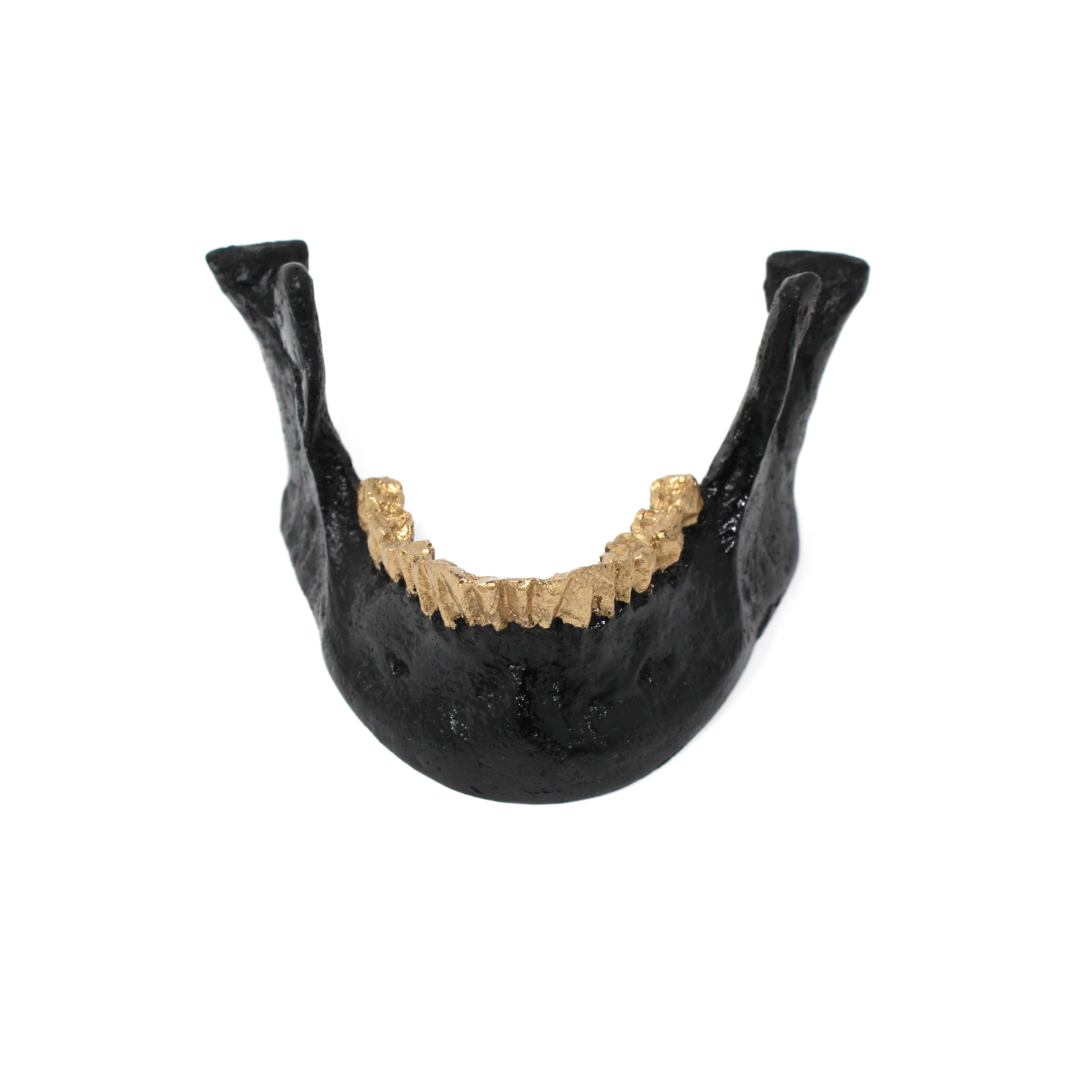 The Blackened Teeth Black with Gold Teeth Jaw Card Holder