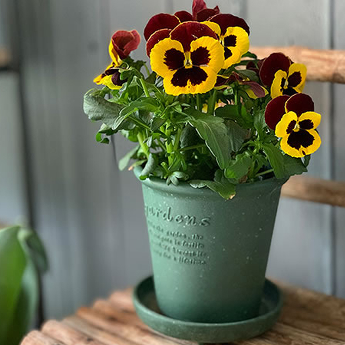 Eco Vaso Tondo con Sottovaso N.4 ∅12 Materiale Ecologico per Piante e Fiori  da Giardino Esterno e Interno - Hachiman