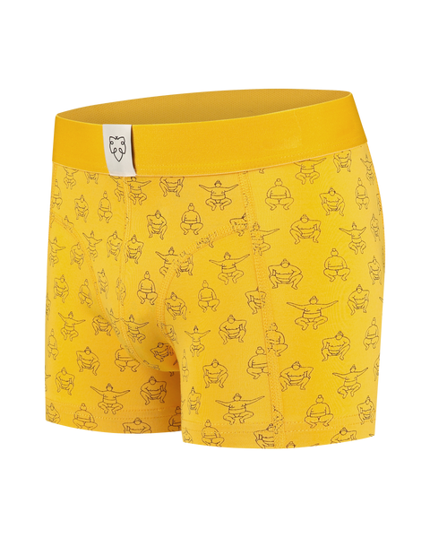 Organic Cotton Boxers For Boys - Tjin