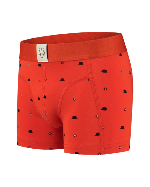 Organic Cotton Boxers For Boys - Ricardo