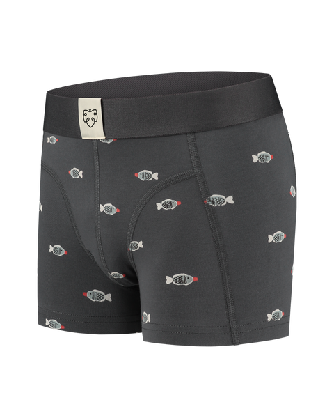 Organic Cotton Boxers For Boys - Fosse