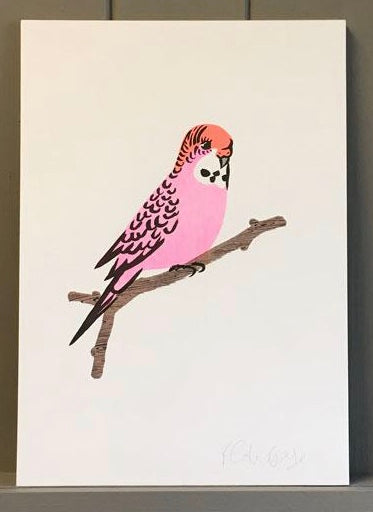 Pink Budgie Print