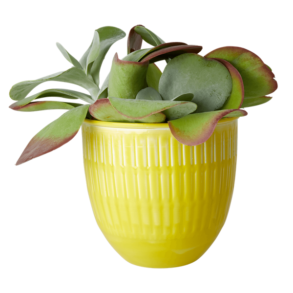 Yellow Enamel Planter