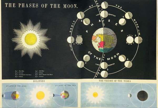 Cavallini & Co Phases Of The Moon Poster