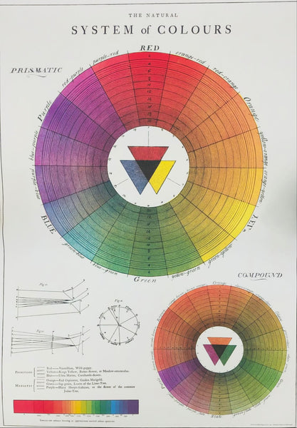 Cavallini & Co System Of Colour Poster