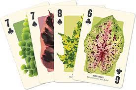 Houseplant Jungle Playing Cards NG6122