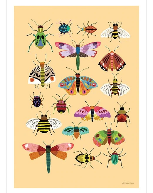 Brie Harrison  Insects Art Print