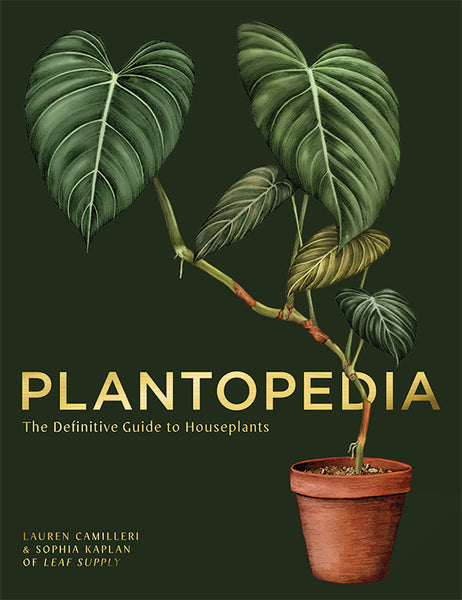 Smith Street Books Plantopedia: The Definitive Guide to House Plants