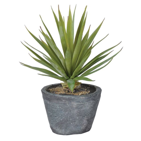 The Forest & Co. Natural Green Faux Air Plant in Cement Pot